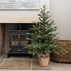 non-decorated christmas tree in corner of room